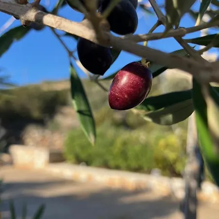 Βίλα Mikro Chorio *