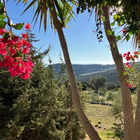 Villa Mikro Chorio *