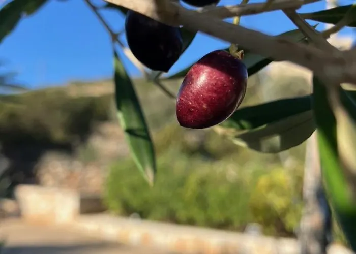 Villa Mikro Chorio *