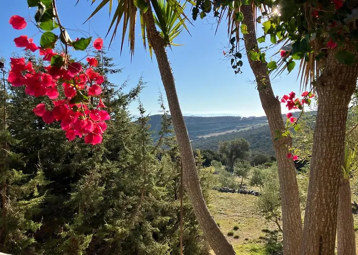 Villa Mikro Chorio *